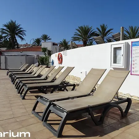 Appartamento Americas Luxury Low-cost With Terrace & Views Playa de las Americas (Tenerife)